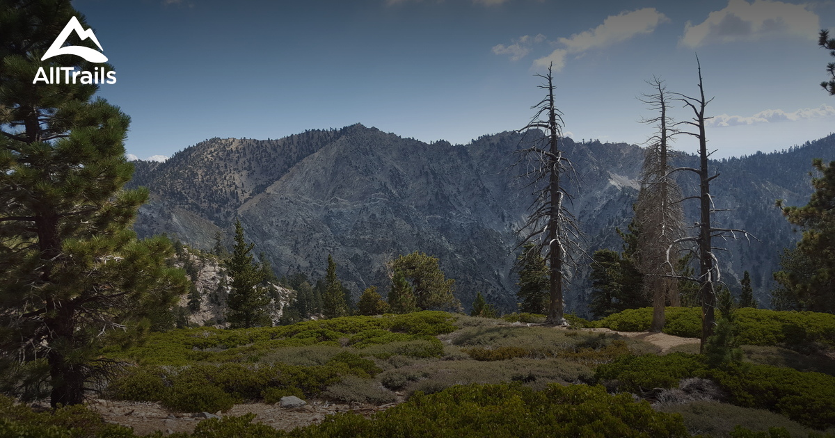 Best Trails in San Bernardino National Forest California 6236
