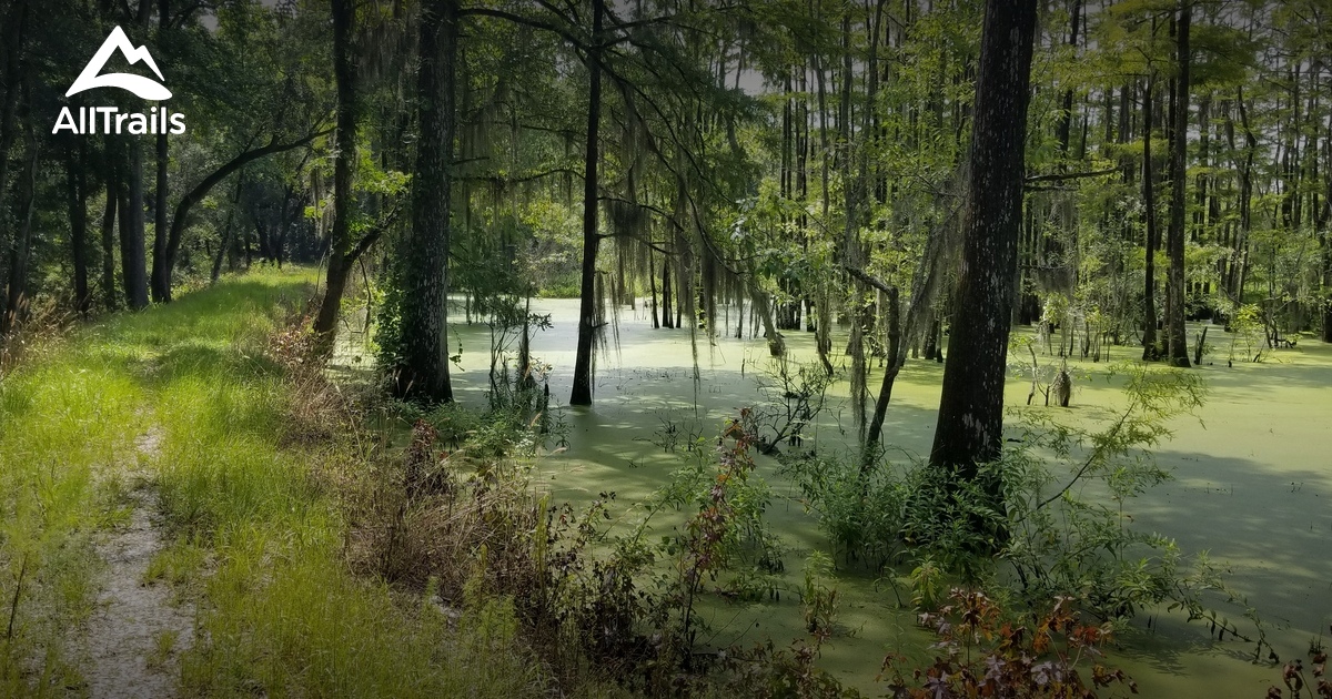 Best Hikes and Trails in Dungannon Plantation Heritage Reserve AllTrails