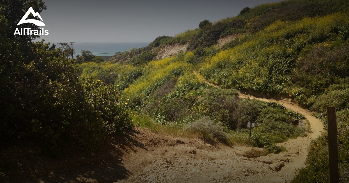 Best Trails in Portuguese Bend Reserve California 64 Photos & 56