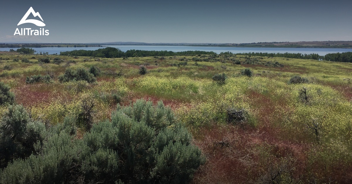 Best hikes and trails in Deer Flat National Wildlife Refuge AllTrails
