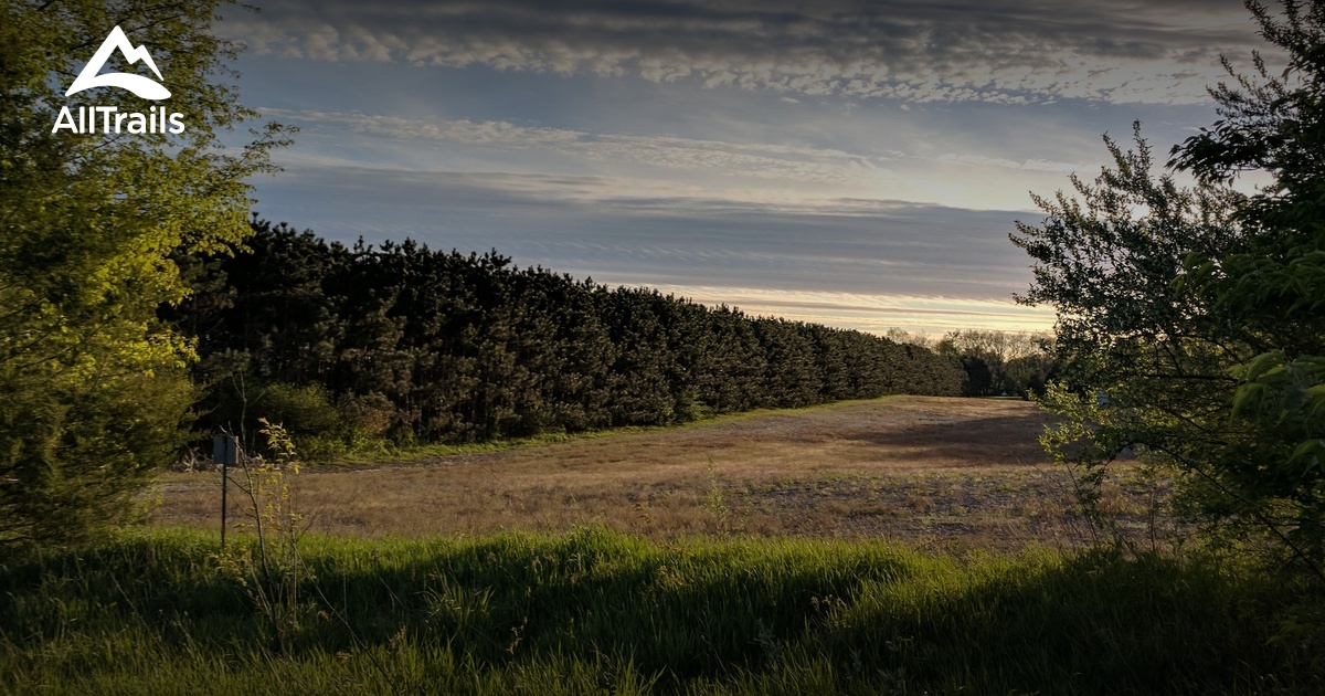 Best Hikes and Trails in Chipman Preserve AllTrails