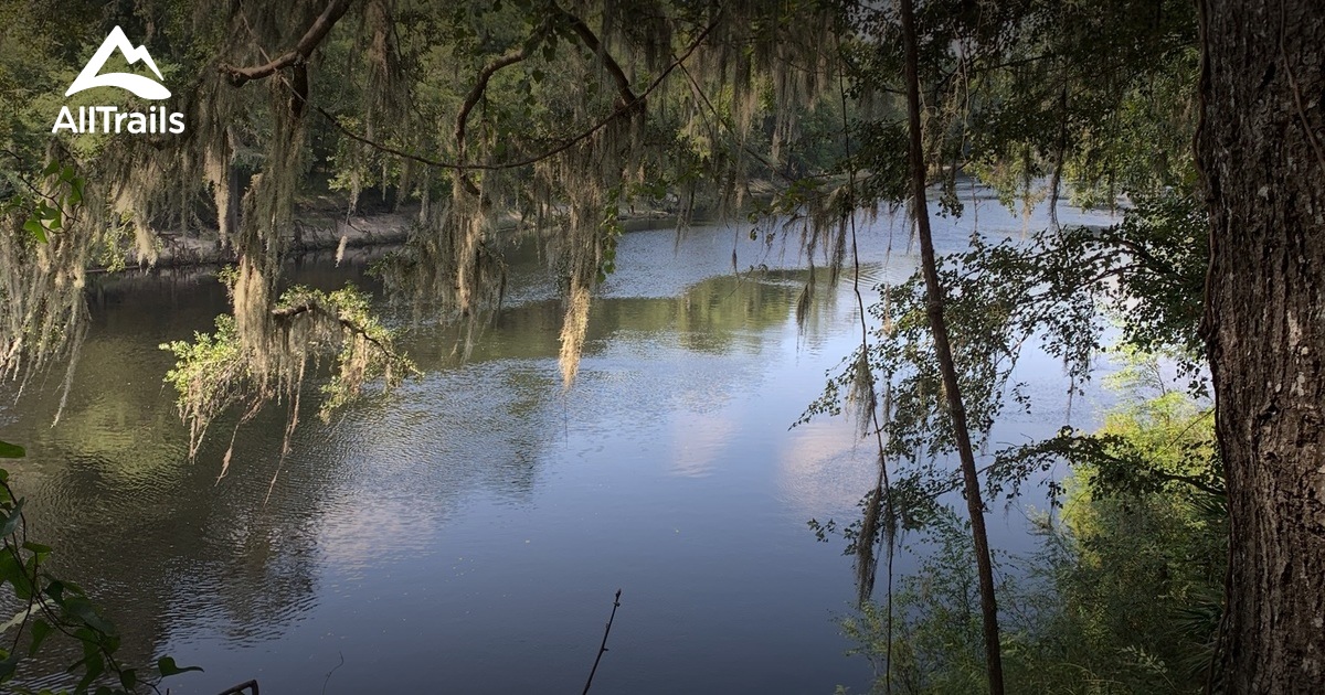Best Trails in Twin Rivers State Forest Florida AllTrails