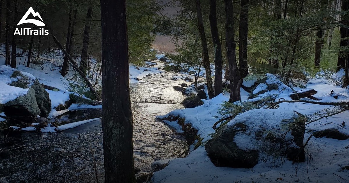 Best Trails in Otter Brook Preserve - New Hampshire | AllTrails