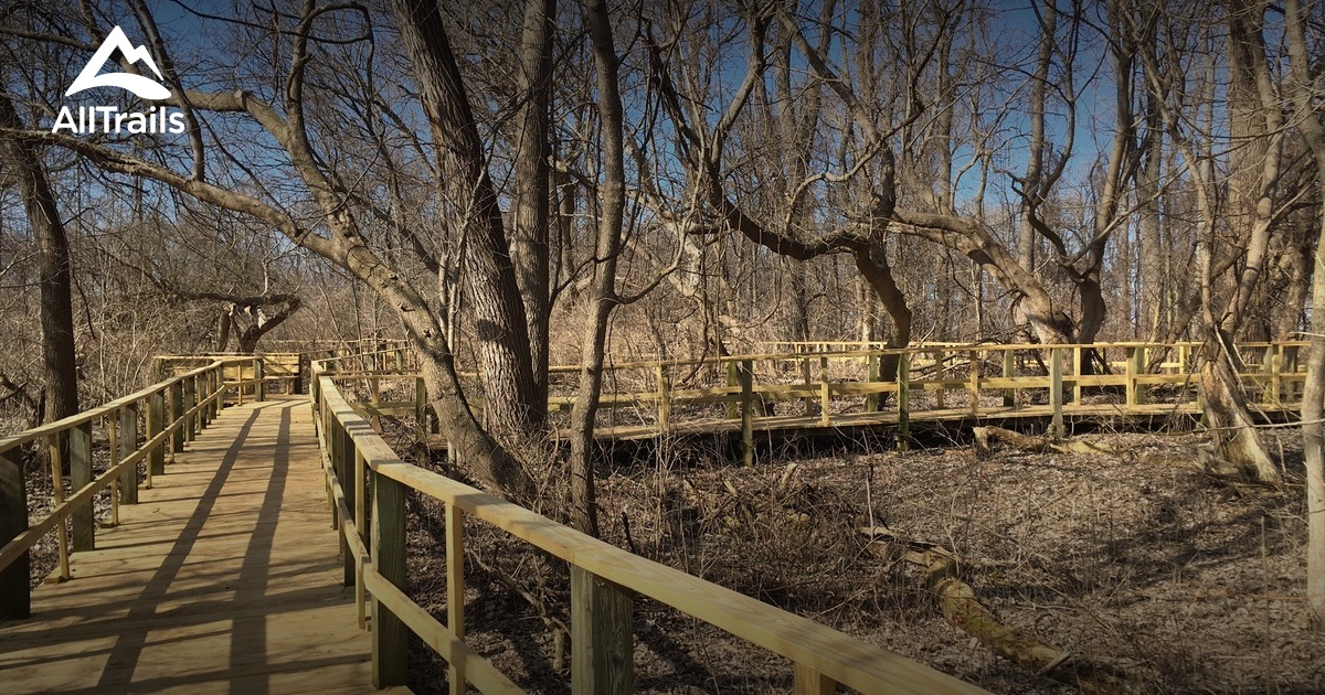 Best Hikes and Trails in Magee Marsh Nature Preserve AllTrails
