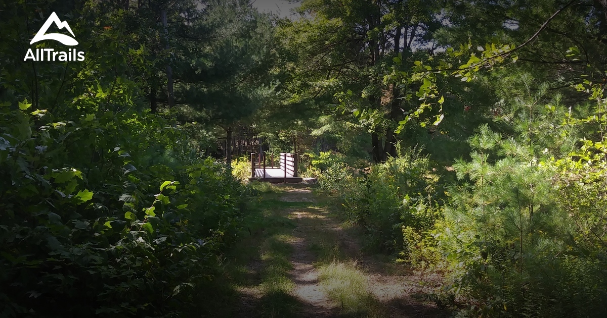 Best Trails in Savage Hill Wildlife Management Area Massachusetts Photos & Reviews AllTrails