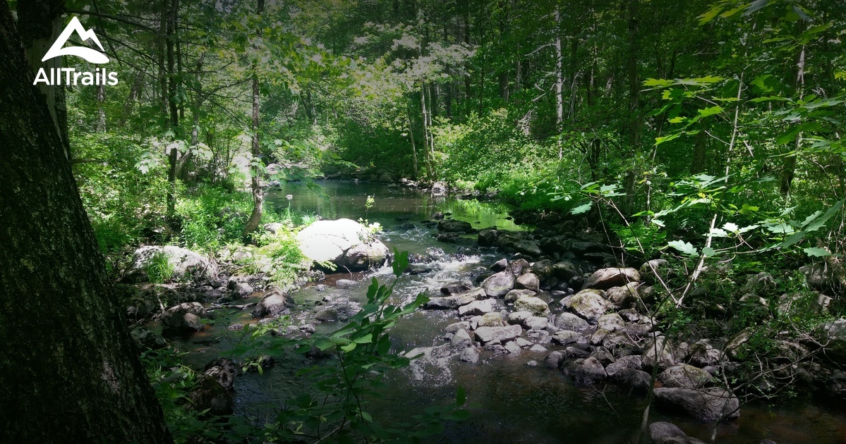 Best Hikes and Trails in Savage Hill Wildlife Management Area AllTrails