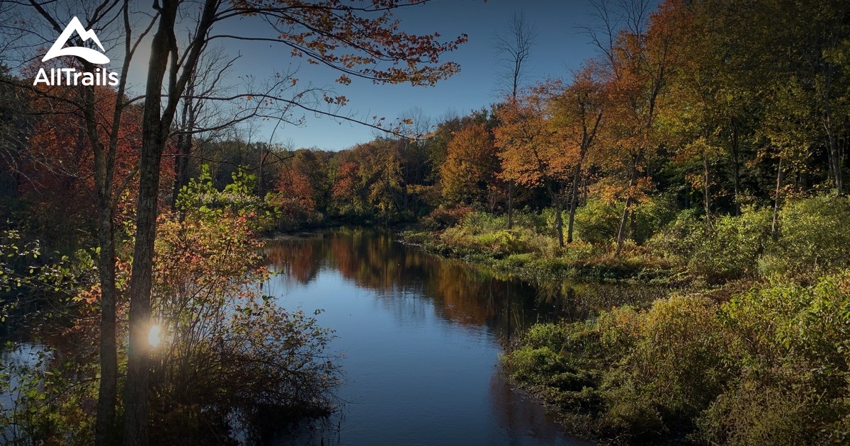 Best hikes and trails in Saugatuck Falls Natural Area | AllTrails