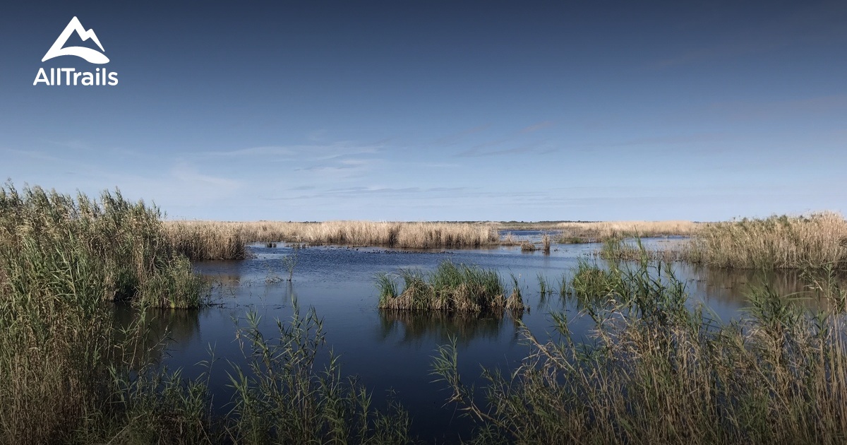 Best Trails in Anahuac National Wildlife Refuge - Texas | AllTrails