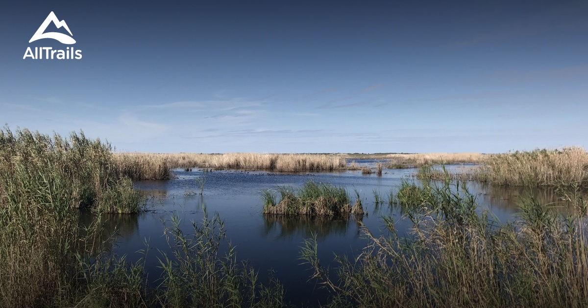 Anahuac nwr duck hunting