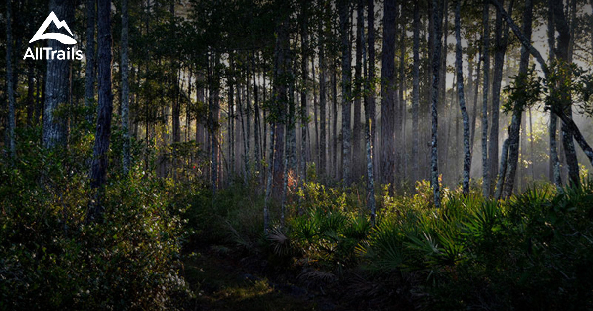 Best Hikes and Trails in Gores Landing Wildlife Management Area AllTrails