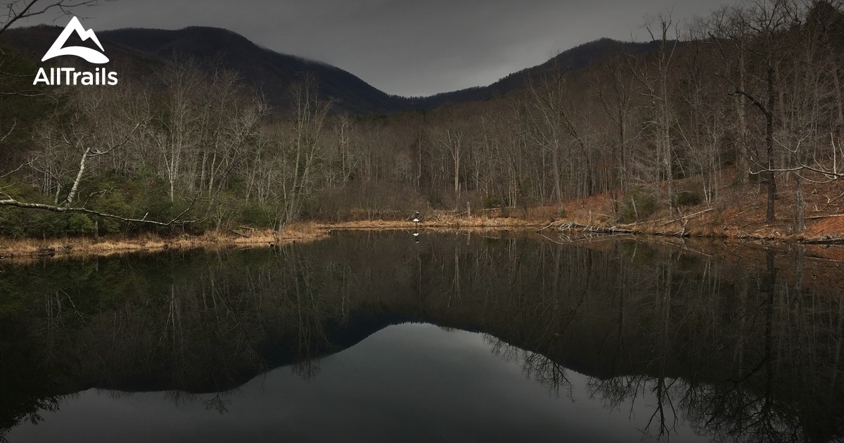 Best Trails in Blue Wall Preserve South Carolina AllTrails