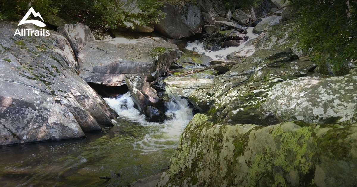 Best Trails in Julian Price Memorial Park North Carolina AllTrails