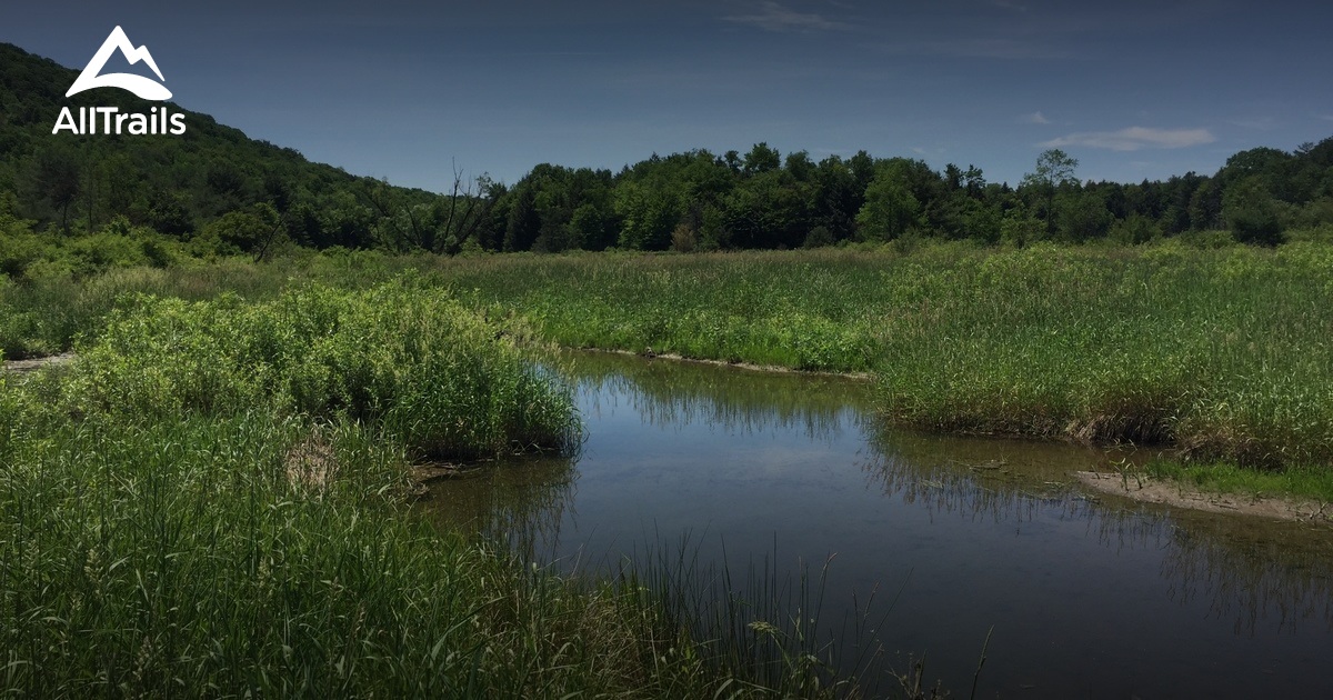 Best Trails in Hammond Hill State Forest New York AllTrails