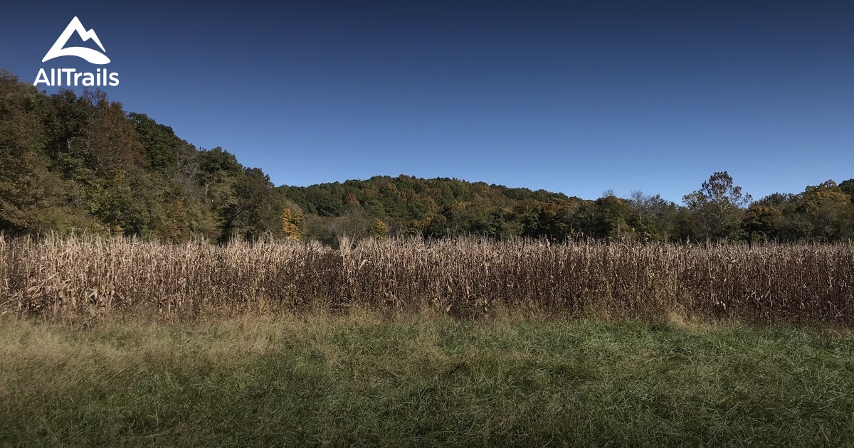 Best Hikes and Trails in Castor River Conservation Area AllTrails