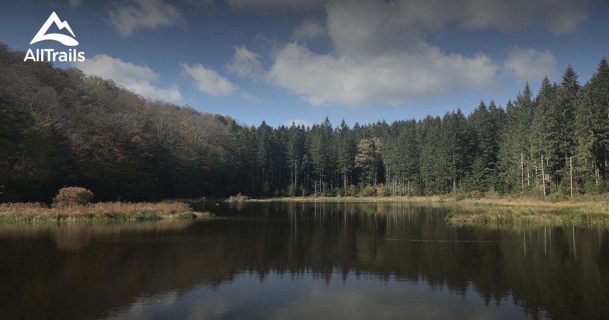 Best Trails in Hill State Forest New York 107 Photos & 55