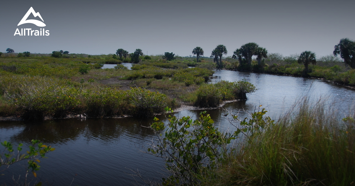 se permiten perros en merritt island national wildlife refuge