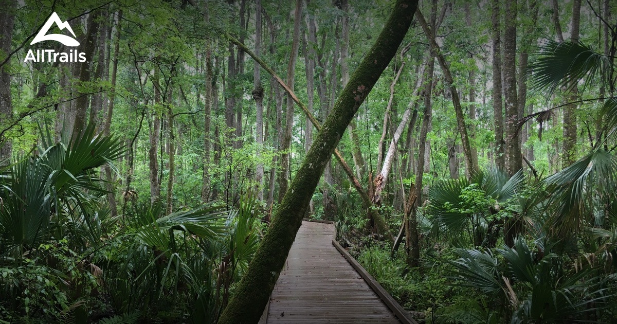 Best Hikes and Trails in Flat Island Preserve AllTrails