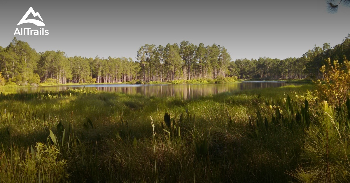 Best Trails In Split Oak Forest Wildlife And Environmental Area 