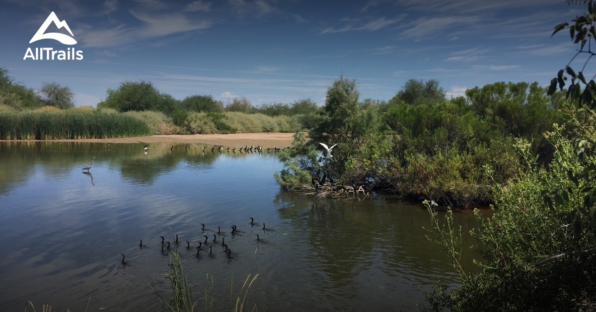 Best Hikes And Trails In Gilbert Riparian Preserve 