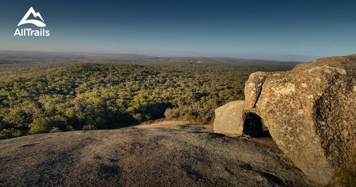 Best Trails in Bald Rock National Park New South Wales, Australia