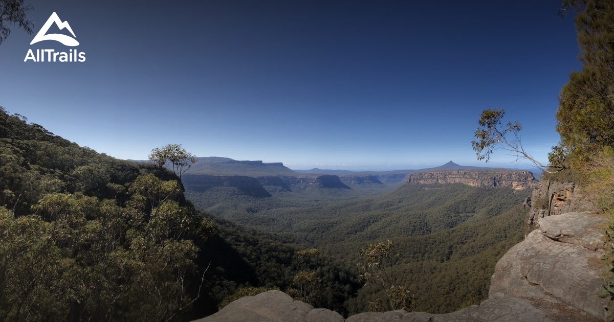 Best Trails In Budawang National Park Australia Alltrails