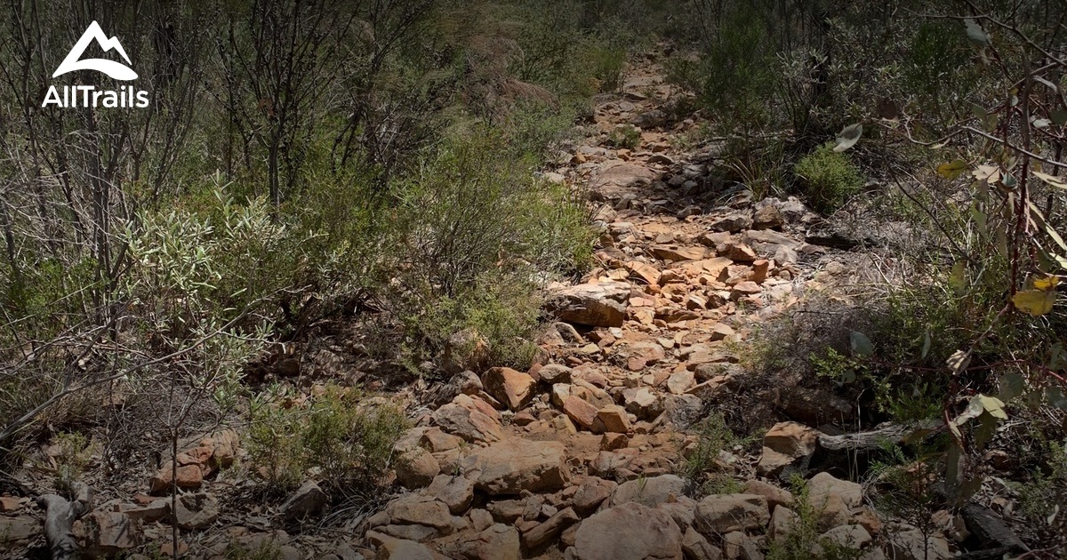 Best Trails in Goobang National Park New South Wales, Australia