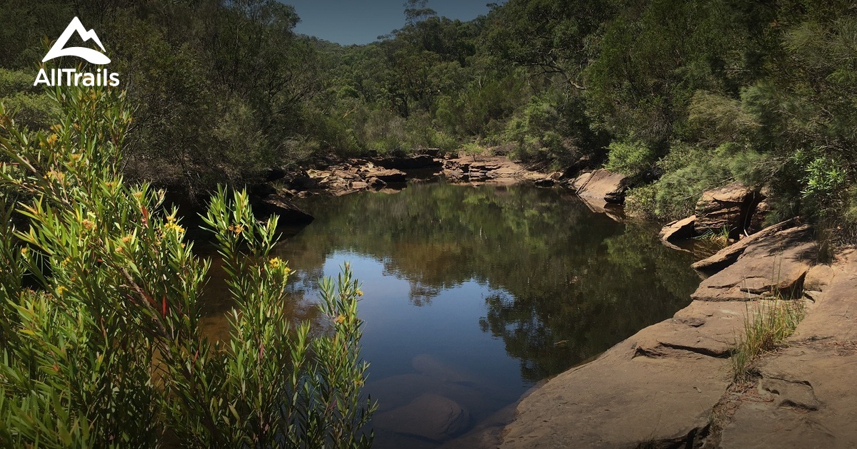 10 Best Hikes and Trails in Heathcote National Park AllTrails