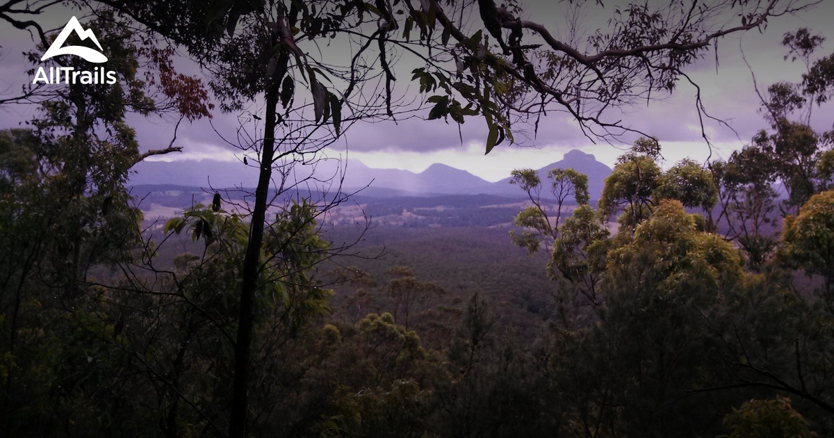 Best hikes and trails in Toonumbar National Park AllTrails