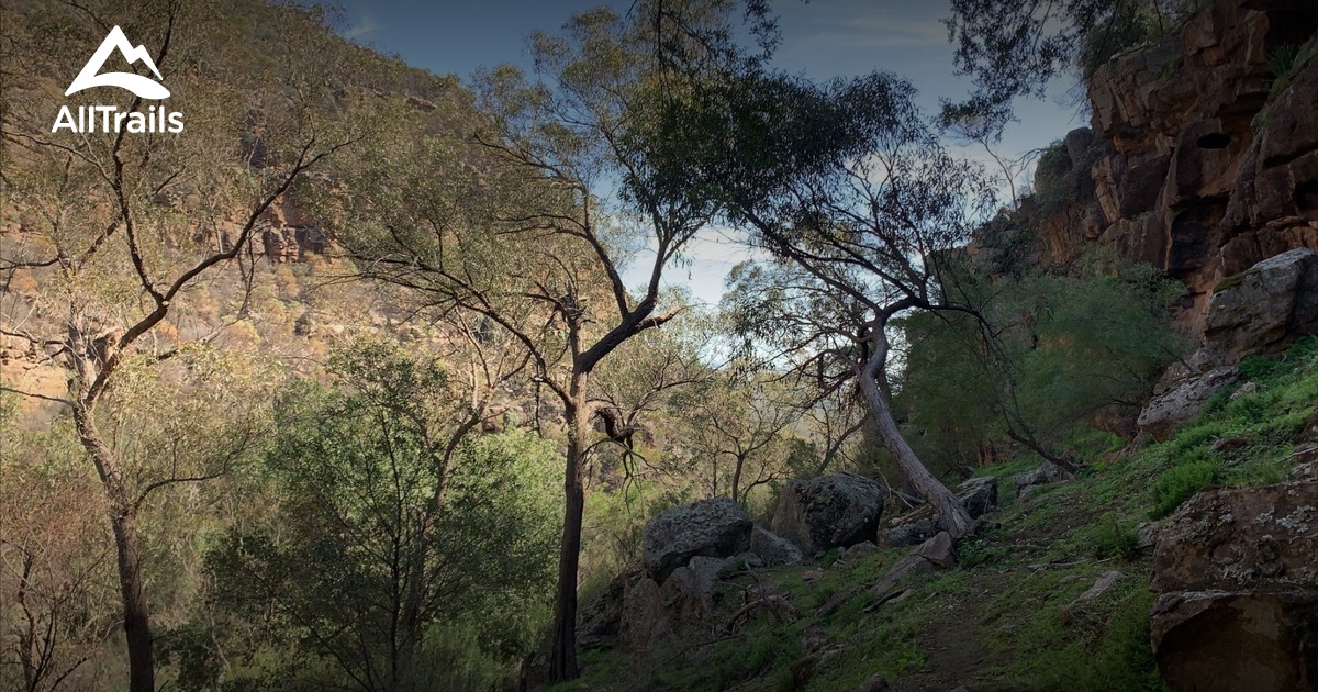 Best hikes and trails in Weddin Mountains National Park AllTrails