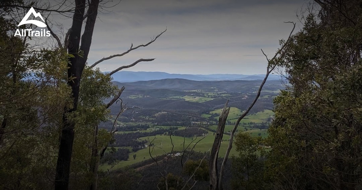 Best Trails In Kinglake National Park Victoria Australia AllTrails