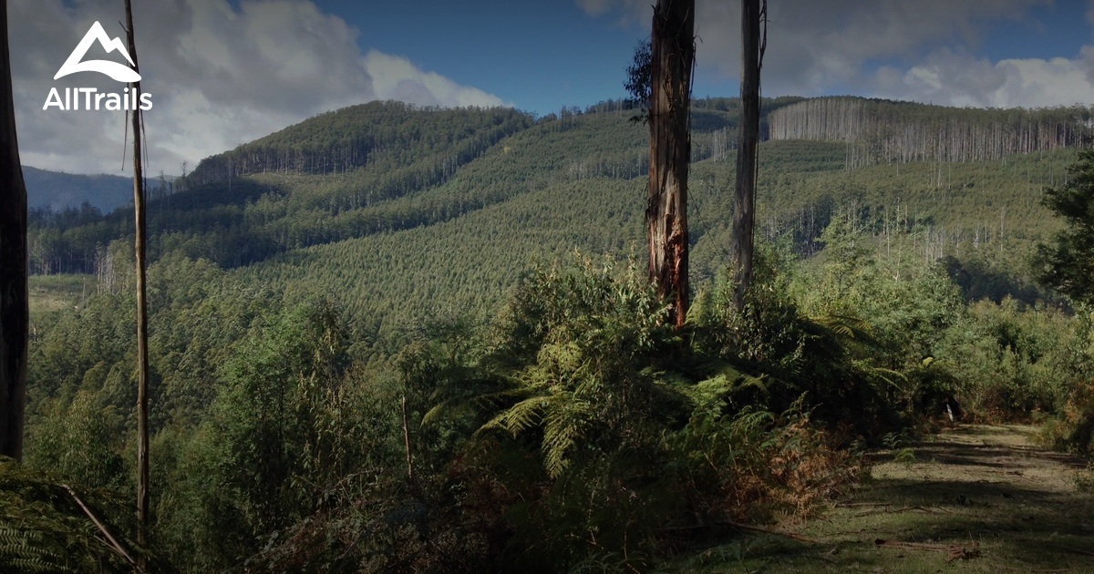Best Trails in Yarra Ranges National Park Victoria, Australia AllTrails