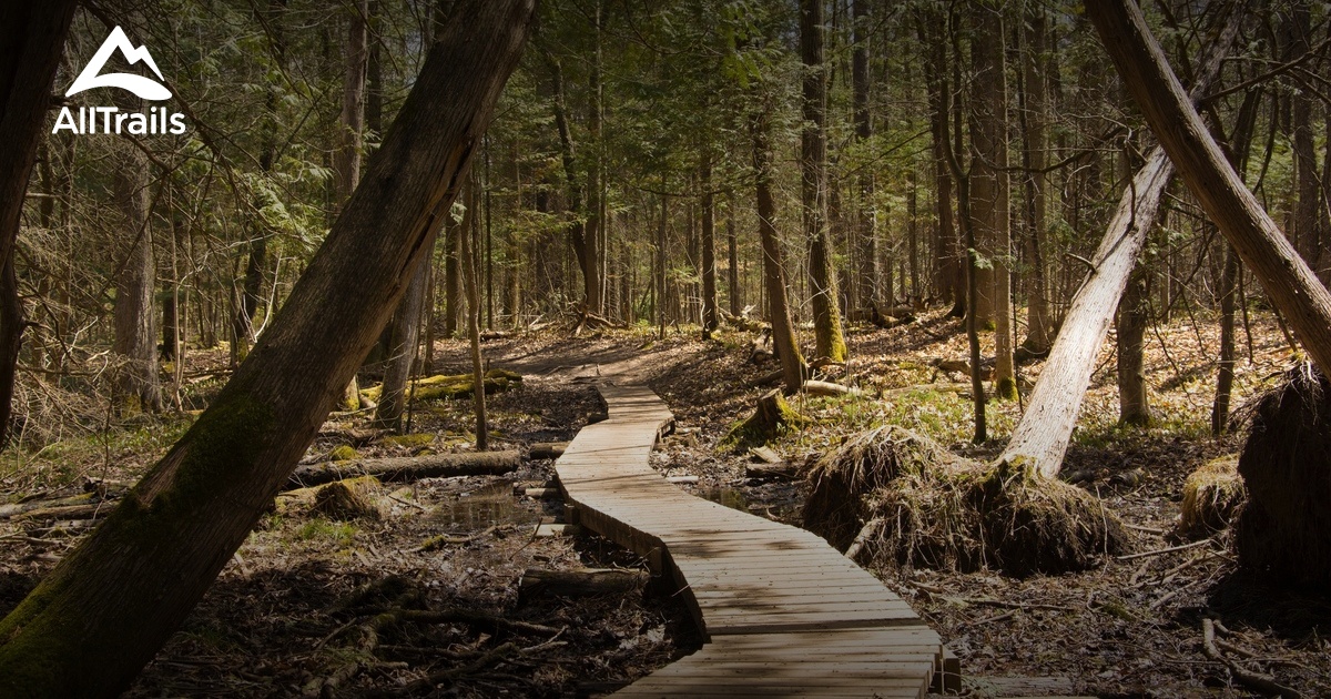 Best Trails in York Regional Forest Ontario 37 Photos & 32 Reviews