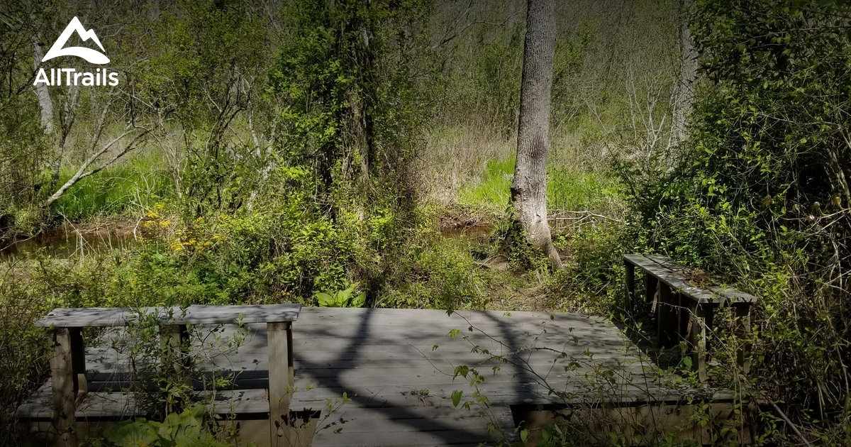 Best Hikes and Trails in Hickory Hollow Natural Area Preserve AllTrails