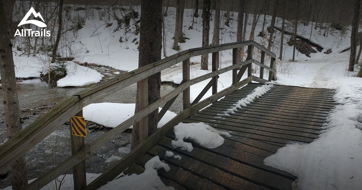 Best Hikes and Trails in Lost Nation State Forest AllTrails