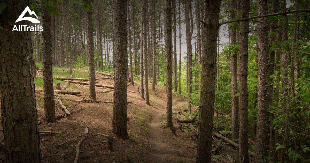 Best views trails in Palgrave Forest and Wildlife Area | AllTrails