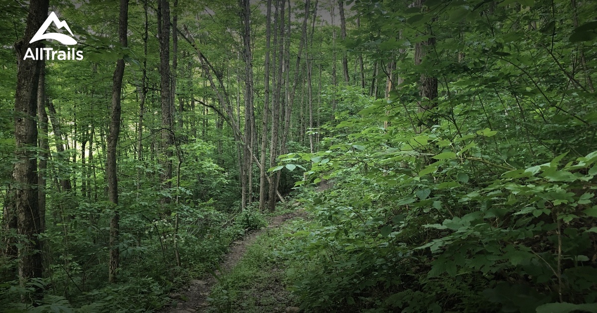 Best hikes and trails in Devil's Glen Provincial Park | AllTrails
