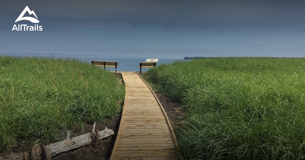 Best Trails in Herring Cove Provincial Park New Brunswick, Canada