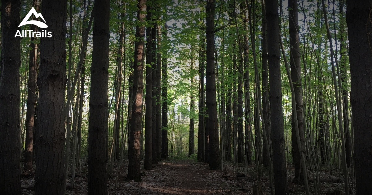 Best hikes and trails in Naftels Creek Conservation Area | AllTrails