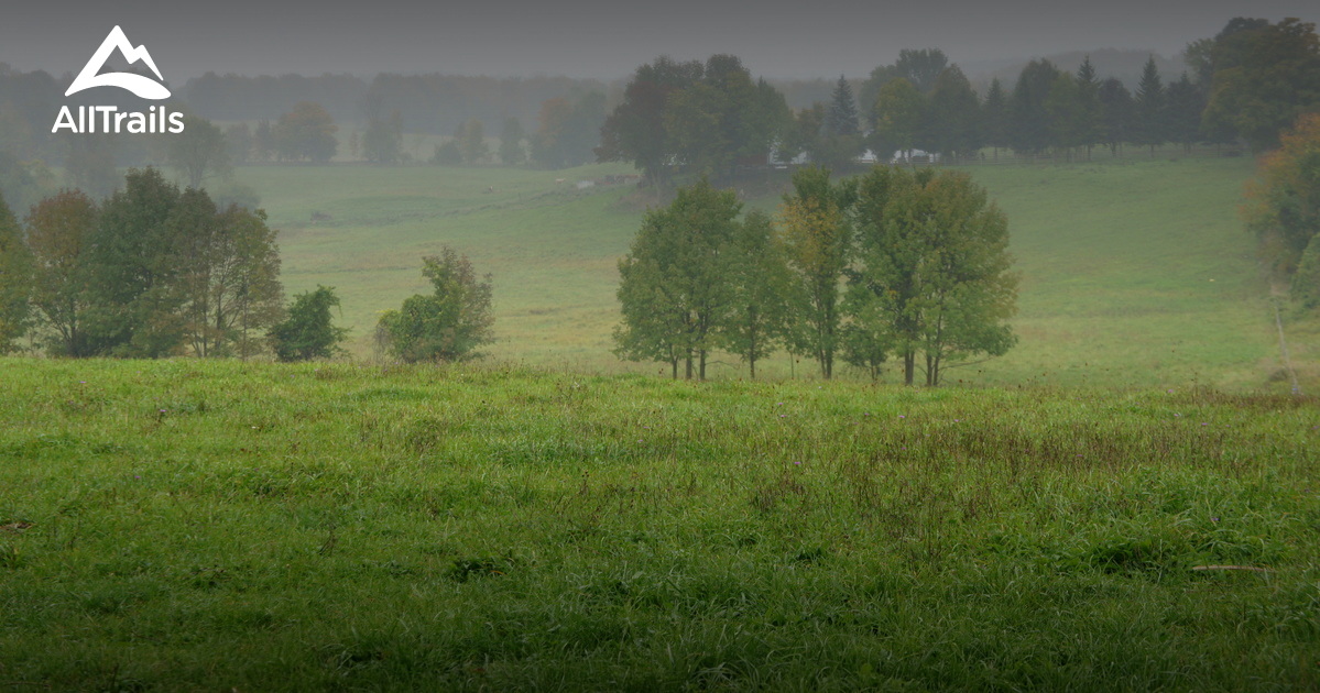 Best Trails in Bognor Marsh Conservation Area Ontario, Canada AllTrails