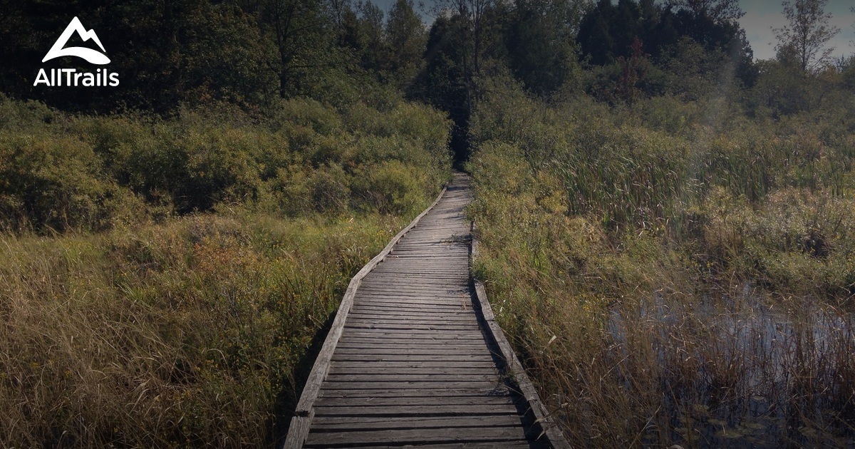 Best Trails in Upper Canada Migratory Bird Sanctuary - Ontario, Canada