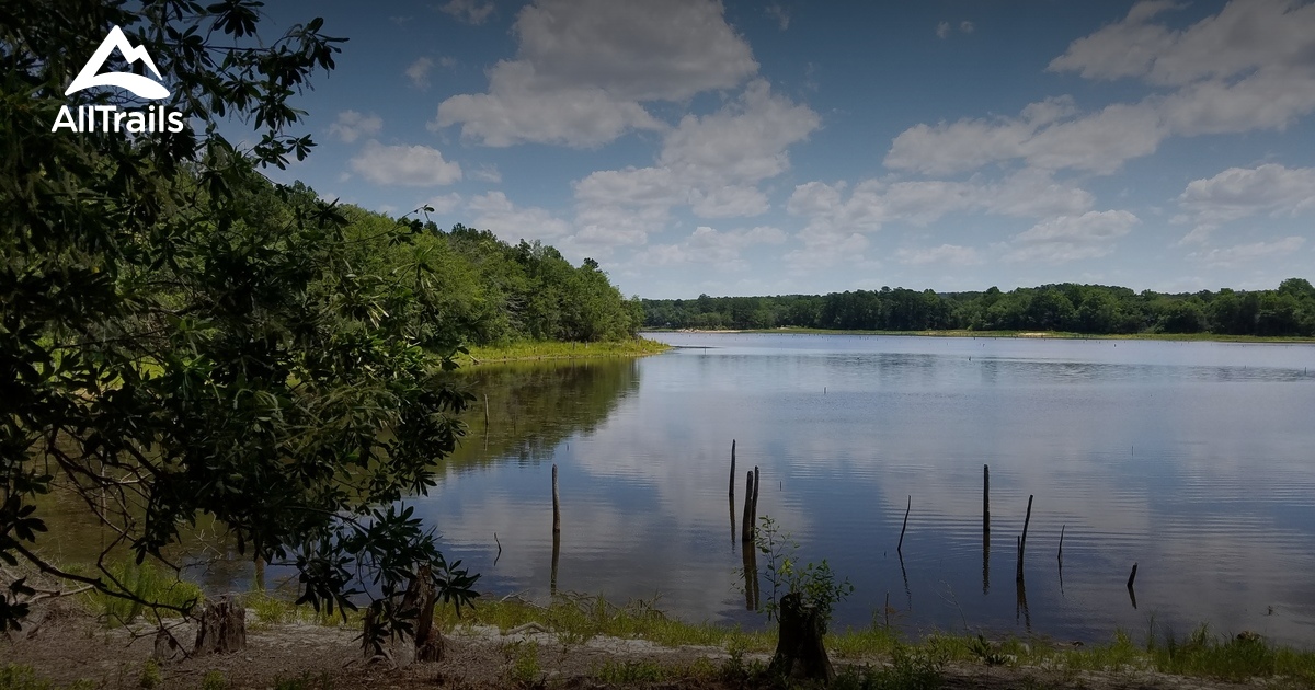 Best Trails in Langley Pond Park South Carolina AllTrails