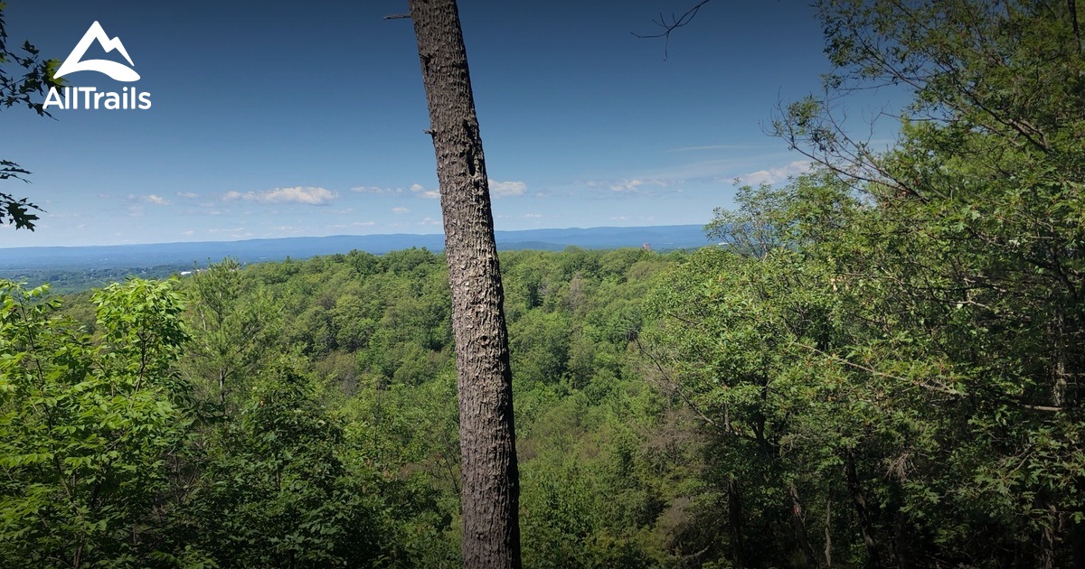 Best hikes and trails in Amethyst Brook Conservation Area | AllTrails