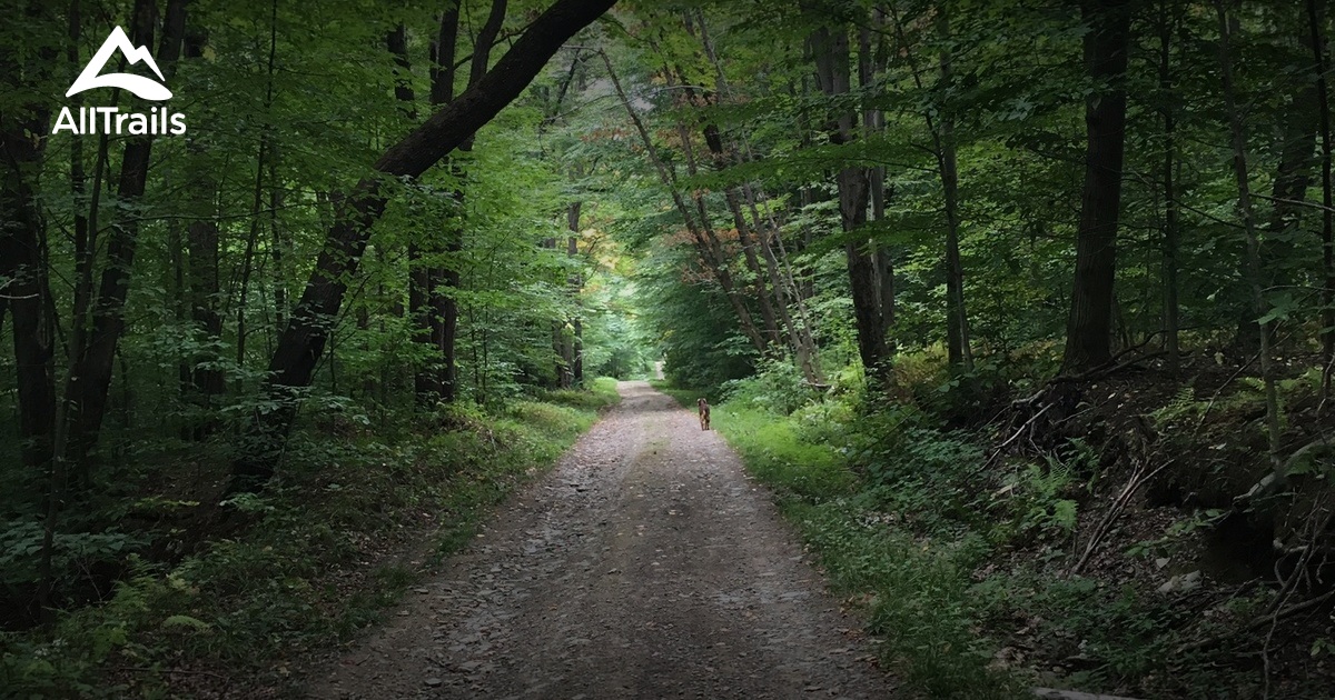 Best Trails in Kennedy State Forest New York AllTrails