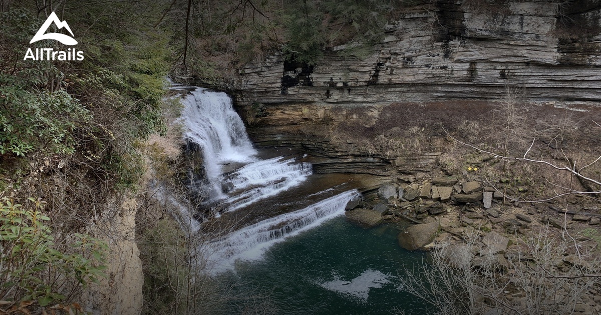 are dogs allowed in cummins falls park