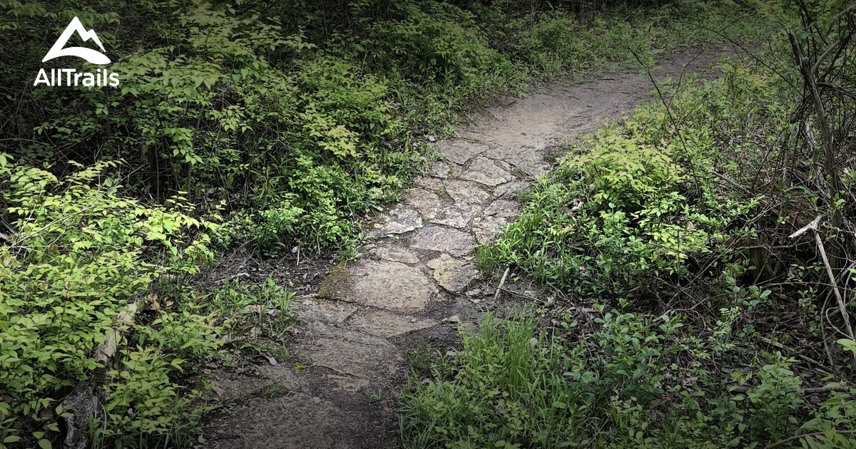 metroparks mountain biking area