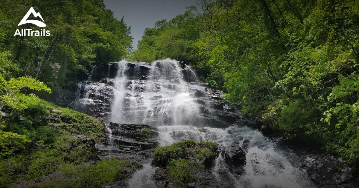 Best Trails In Amicalola Falls State Park Georgia Alltrails