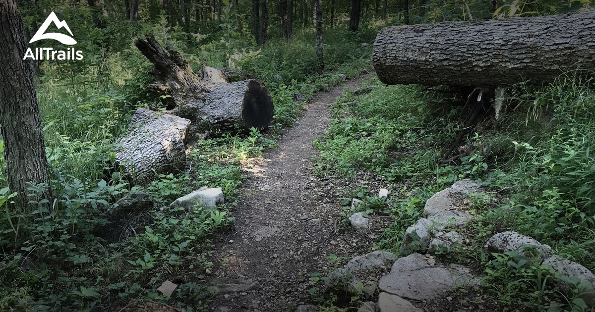 Best hikes and trails in Matson Hill Park AllTrails