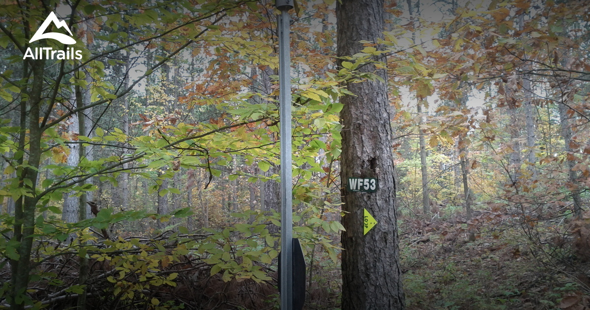 Best Trails in Ganaraska Forest Ontario, Canada AllTrails