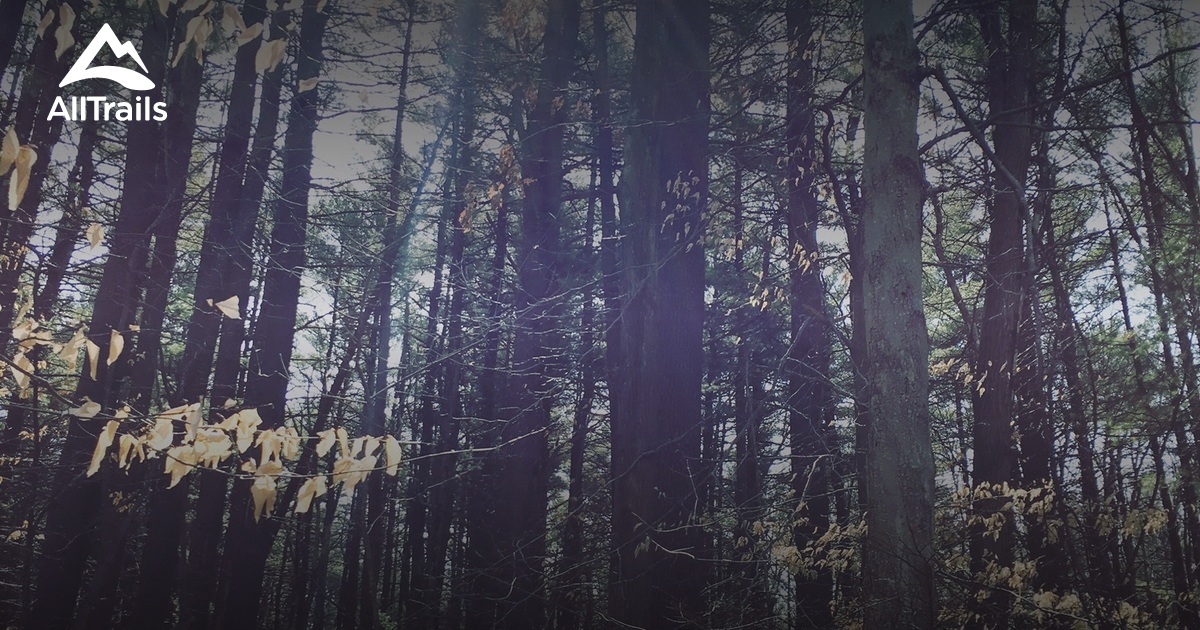 Best Hikes and Trails in Hartwell Town Forest AllTrails