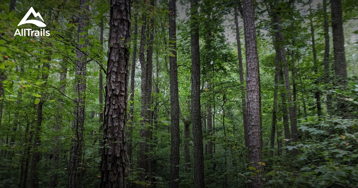 Best Hikes and Trails in Montpelier Park AllTrails